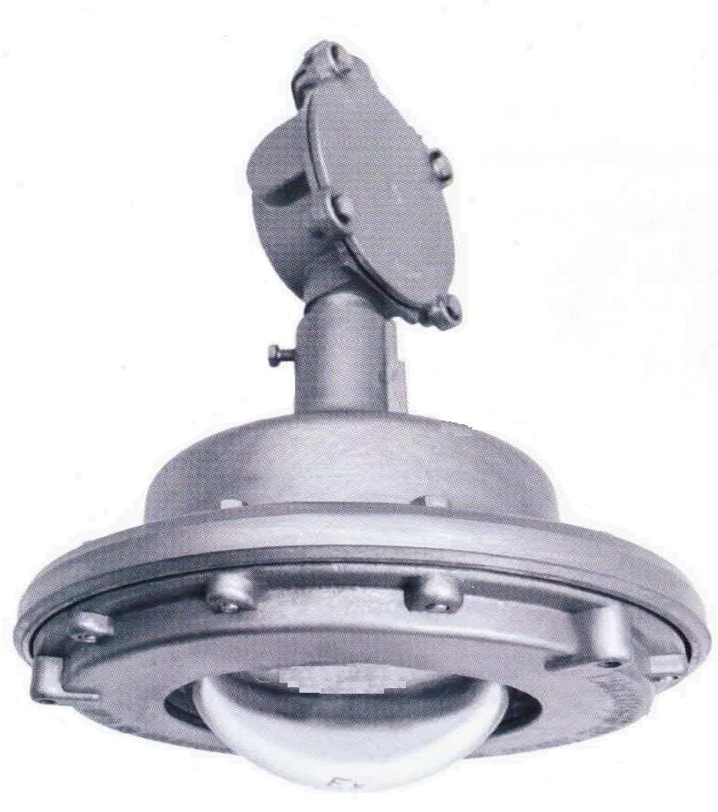 Cap DSP Ex Explosion-Proof Luminaire