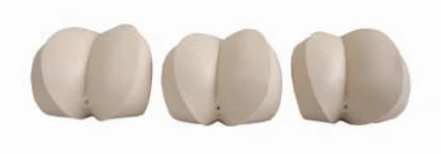 Rectal Examination Simulator LV39A