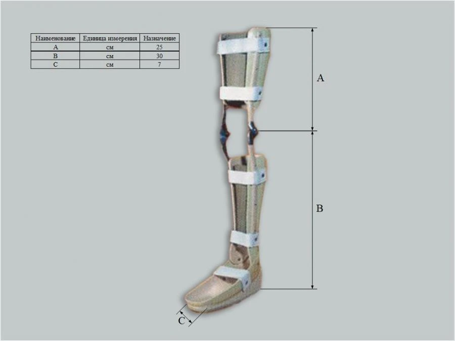 Ankle and Knee Joint Support Apparatus Custom Made
