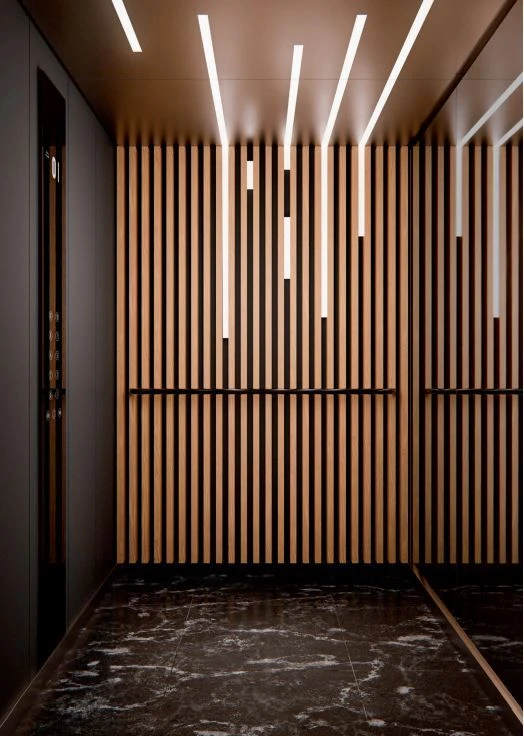 Electric Passenger Lift (Model ALPMRL, Series "CONCEPT")