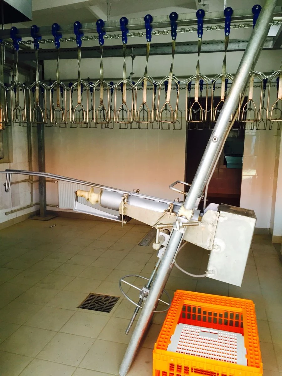 Head/Trachea Removal Machine, Model: HTM-2080