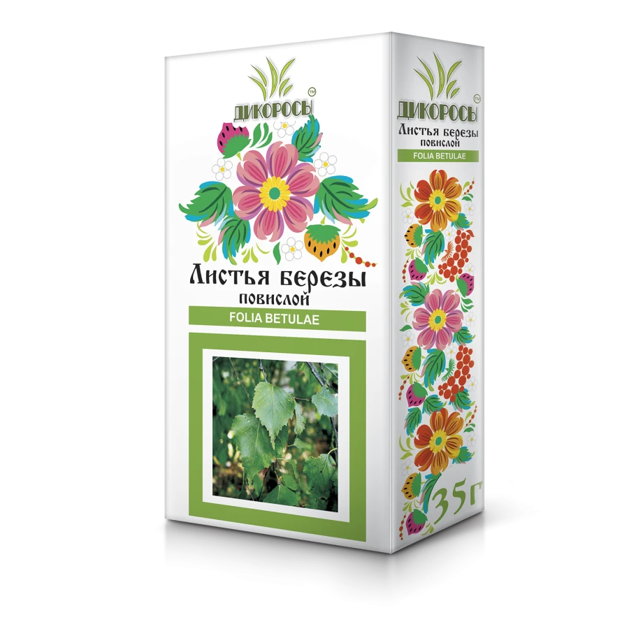 Birch Leaves for Herbal Remedies