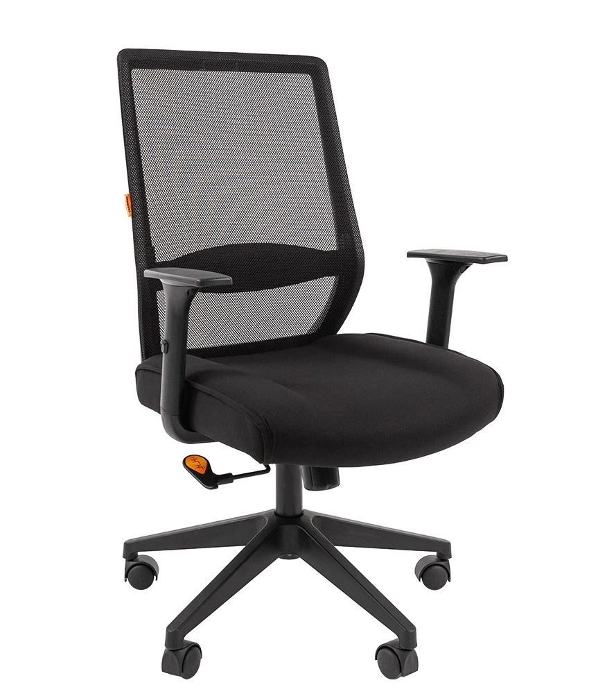 Comfortable Office Chair CHAIRMAN 555LT