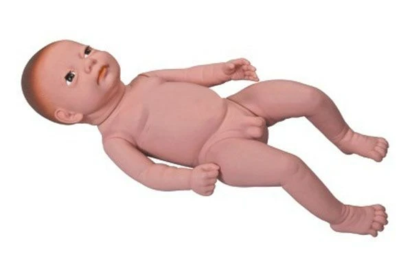 Life-Size Newborn Boy Model Without Umbilical Cord Y4