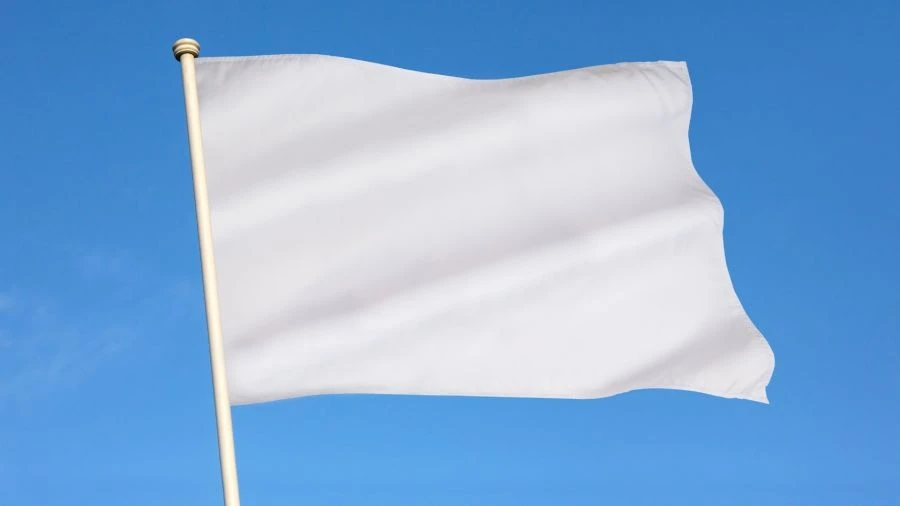 Sports Team Flag with Custom Design, Model FL1