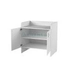 Medical Changing Table Model 3, Version 1 GIKS.942810.106 TU