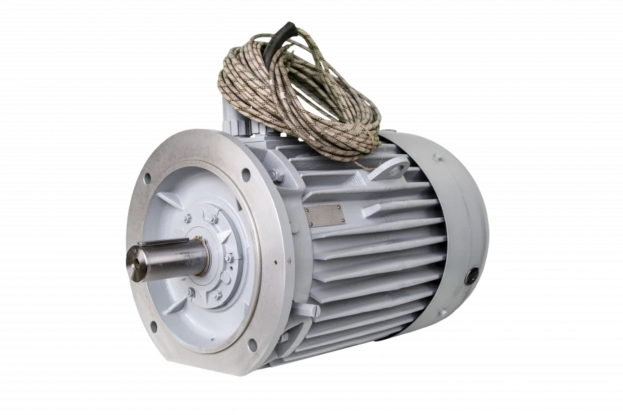 Three-Phase Asynchronous Motor rDM160 (7.5 kW, 100 Hz)