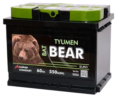 Lead Acid Starter Battery for Internal Combustion Engines 12V Tyumen BatBEAR