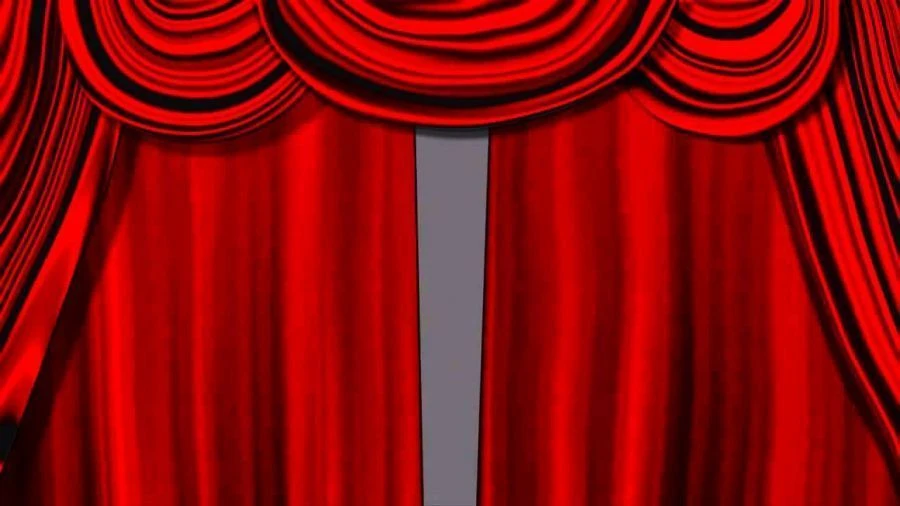 Fire-Resistant Curtain Fabric - Model 001