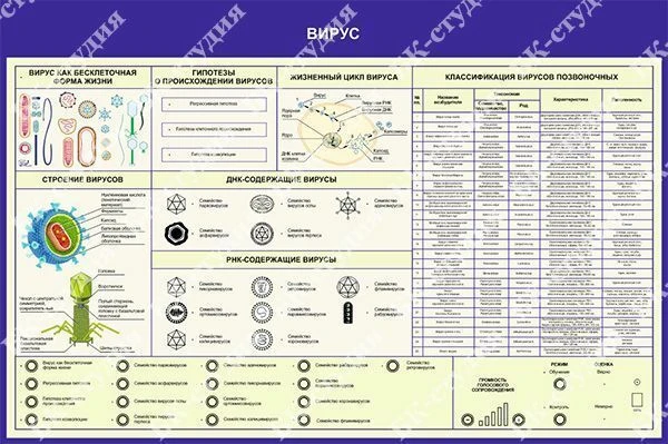 منصة عرض كهربائية للعرض المرئي