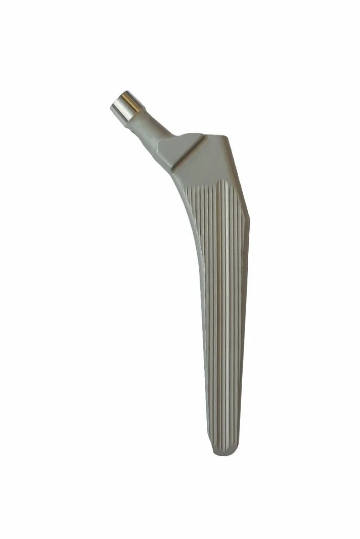 Cement Fixation Femoral Component, Lateral Modification