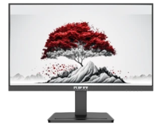 23.8-Inch LCD Monitor for Computers, Model RDW2401B