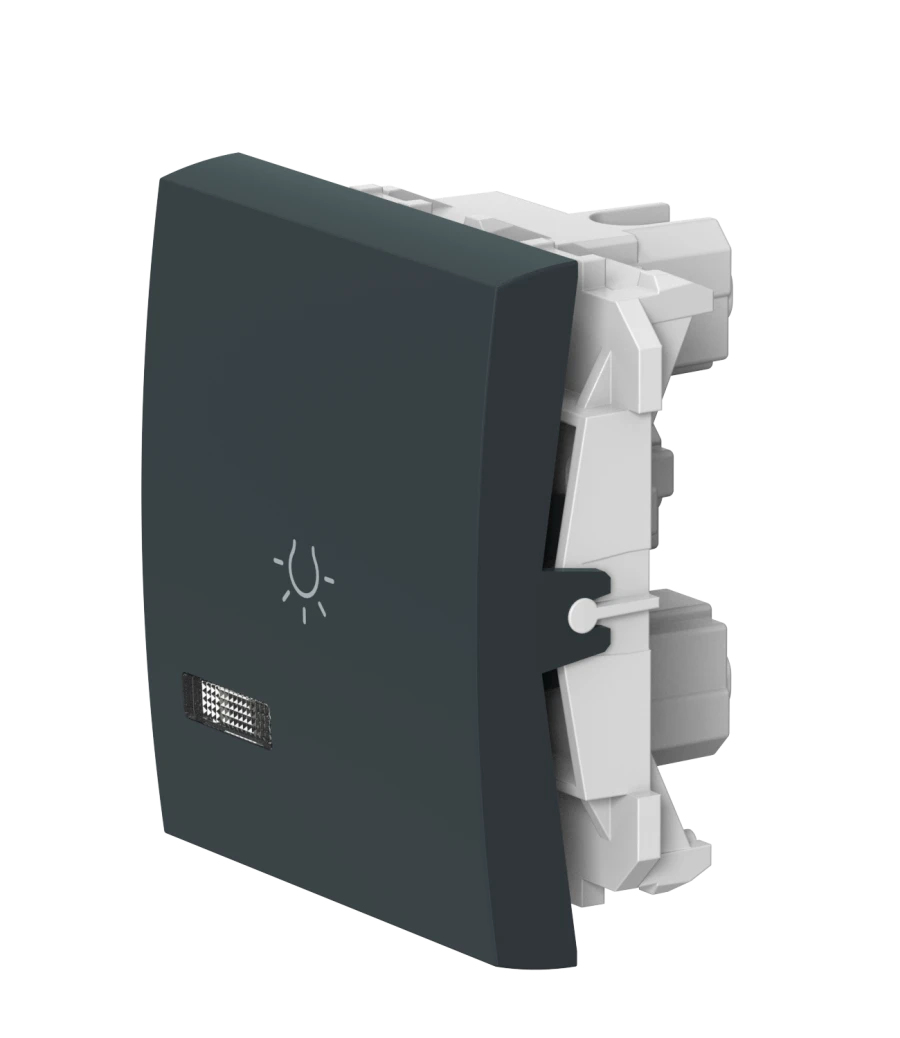 CADUCEUS ALING MODE Push Button Light Switch with Indication - 10A, 250V, Anthracite, Model 65