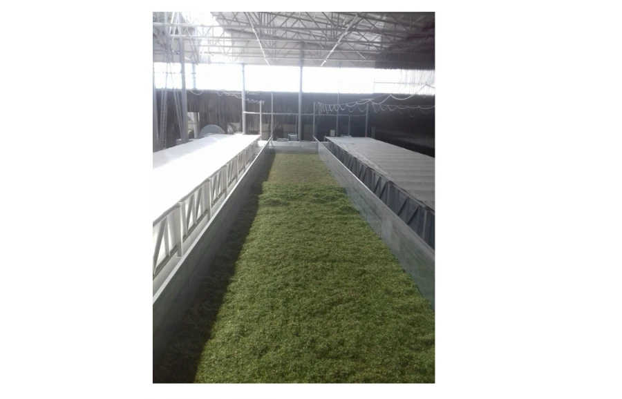 مجفف أرضي للحبوب والأعشاب والخضروات ST-70