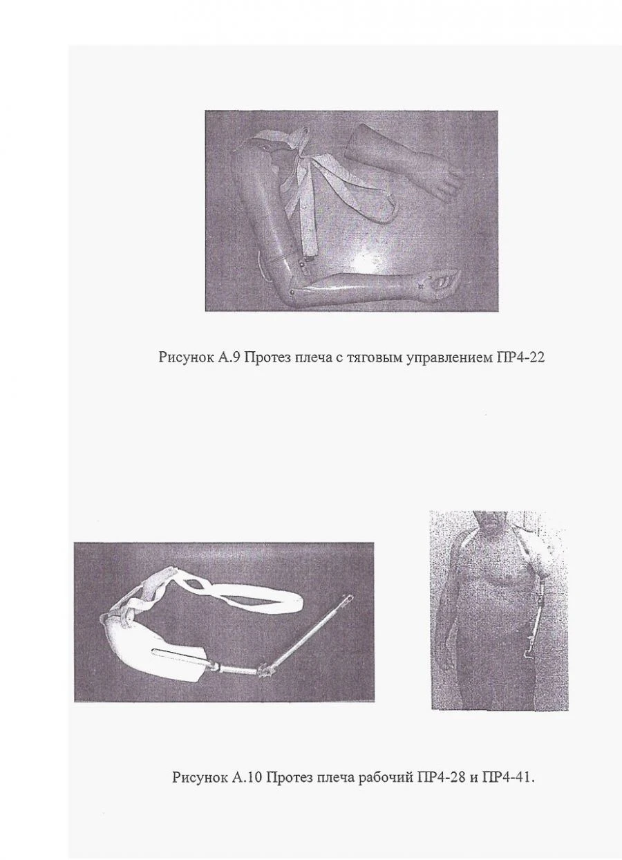 بروتاز الكتف الوظيفي PR4-28