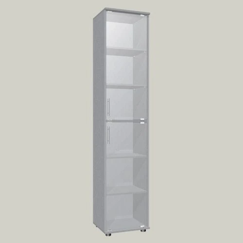 Document Cabinet with Two Glass Doors Model SHS-5