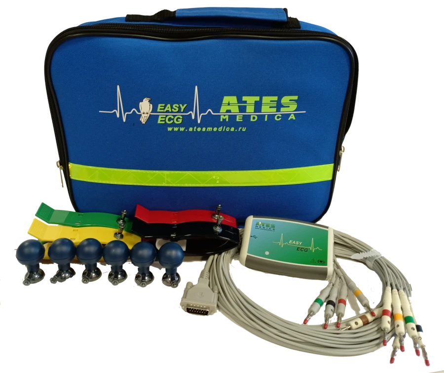 Easy ECG Modular System for Remote ECG Monitoring and Analysis