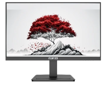 Monitor RDW2501B EMTC.467846.013-05