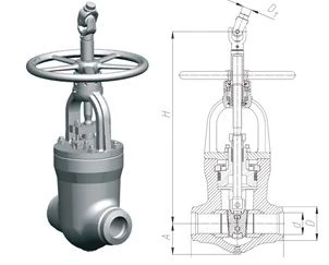 Gate Valve for Nuclear Power Plant Applications 1016-250-CZ