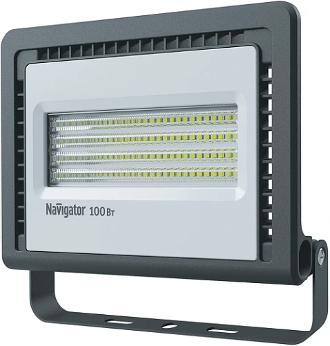 LED Indoor and Outdoor Light NFL-01-100-6.5K