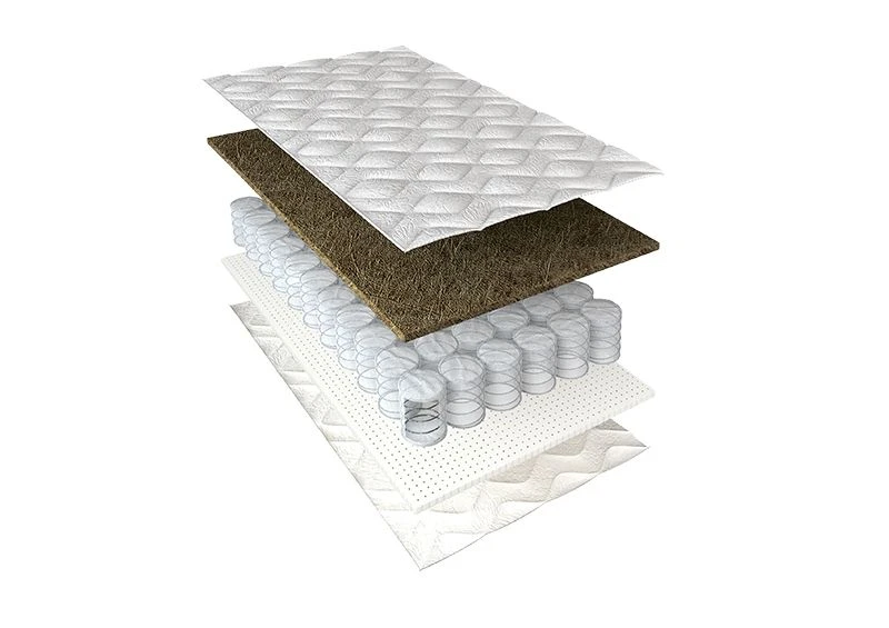 مرتبة أطفال تشريحية NEXT