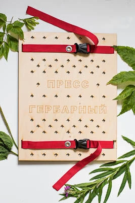 Herbarium Press for Drying Botanical Material (Model 15400)