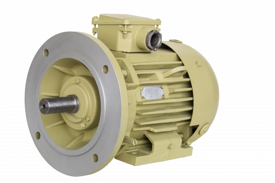 Three-Phase Asynchronous Motors DM132, DMM132 (2.2-7.5 kW)