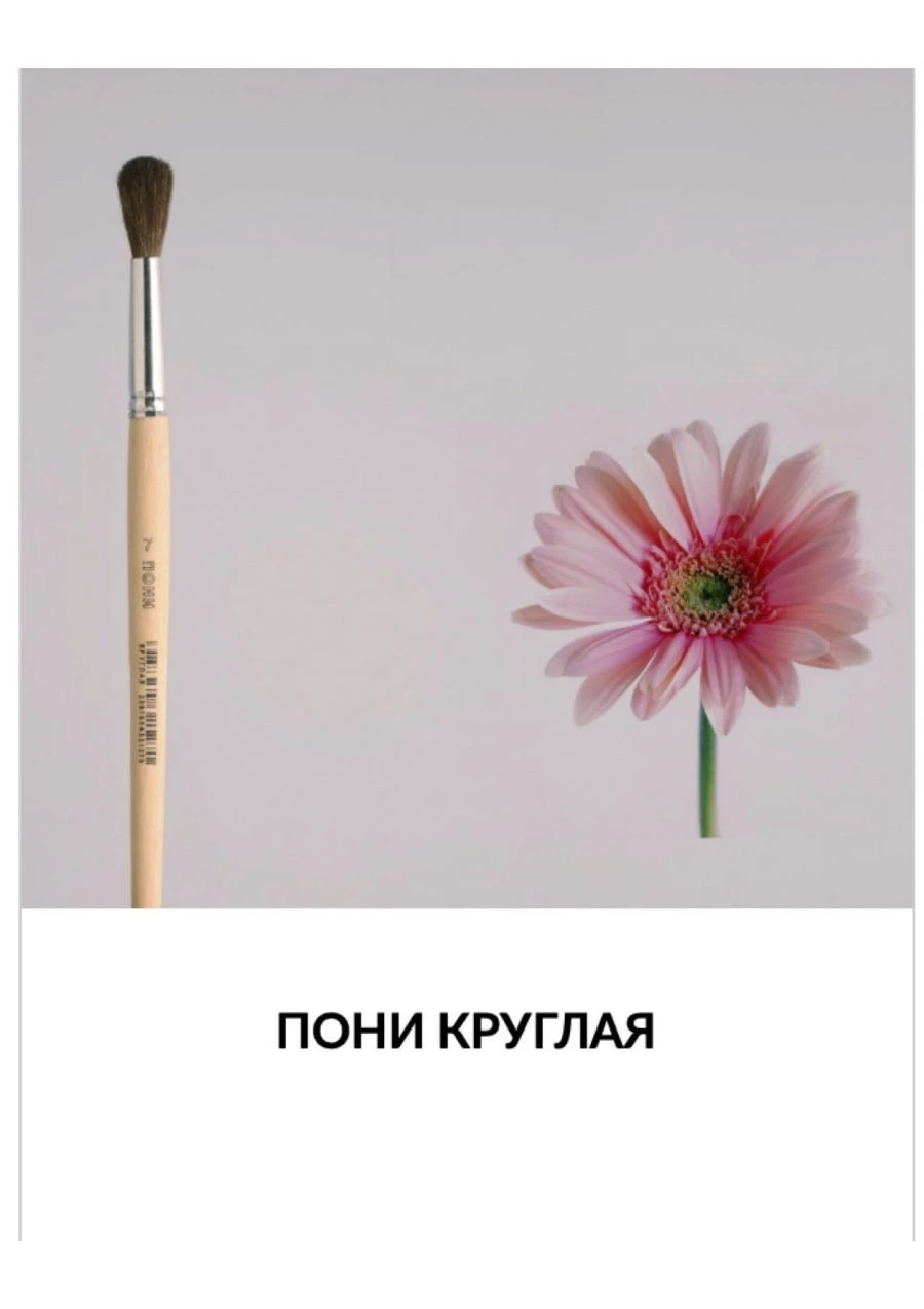 Natural Pony Hair Round Paintbrush for Artistic Work