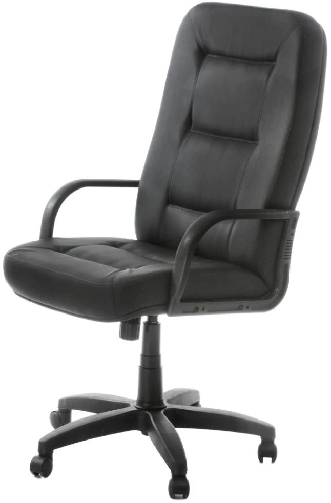 Comfortable Indra Chair for Home and Office Use