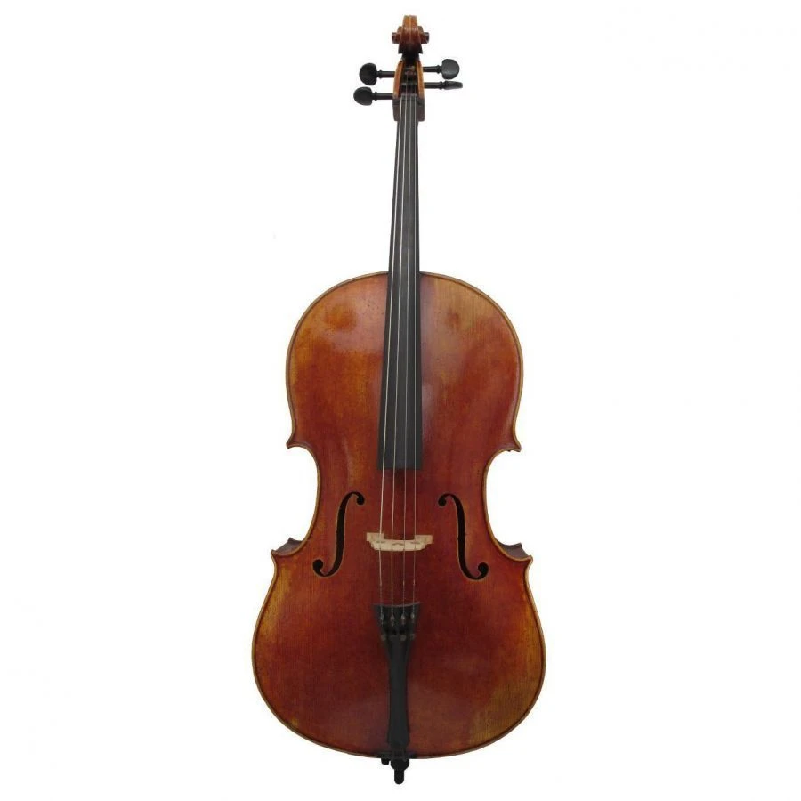 Professional Stringed Cello Goronok "David Makhov" 3/4