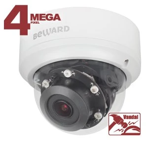 Digital IP Camera DFK4168