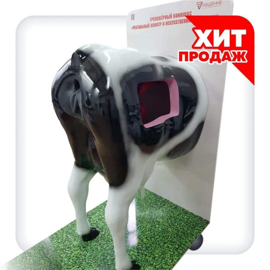 Rectal Examination and Artificial Insemination Training Simulator for Cattle V1002