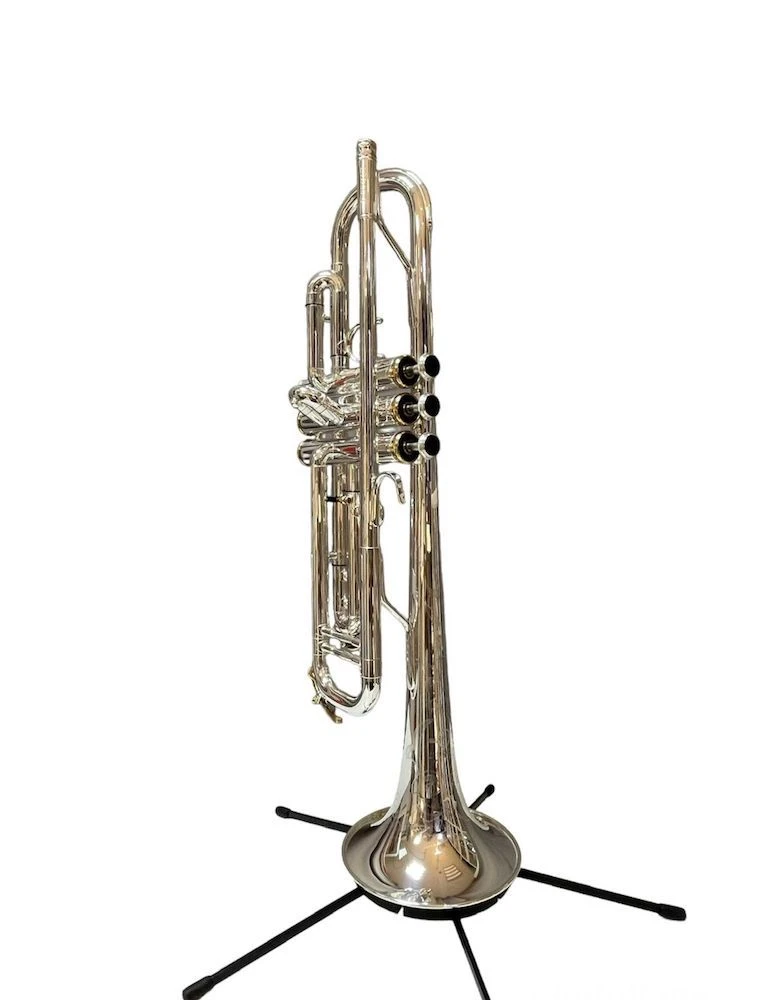 Bb Silver-Plated Professional Trumpet DTR-8010SG