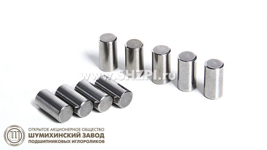 Cylindrical Roller 5.5*9 HN VI for Industrial Applications