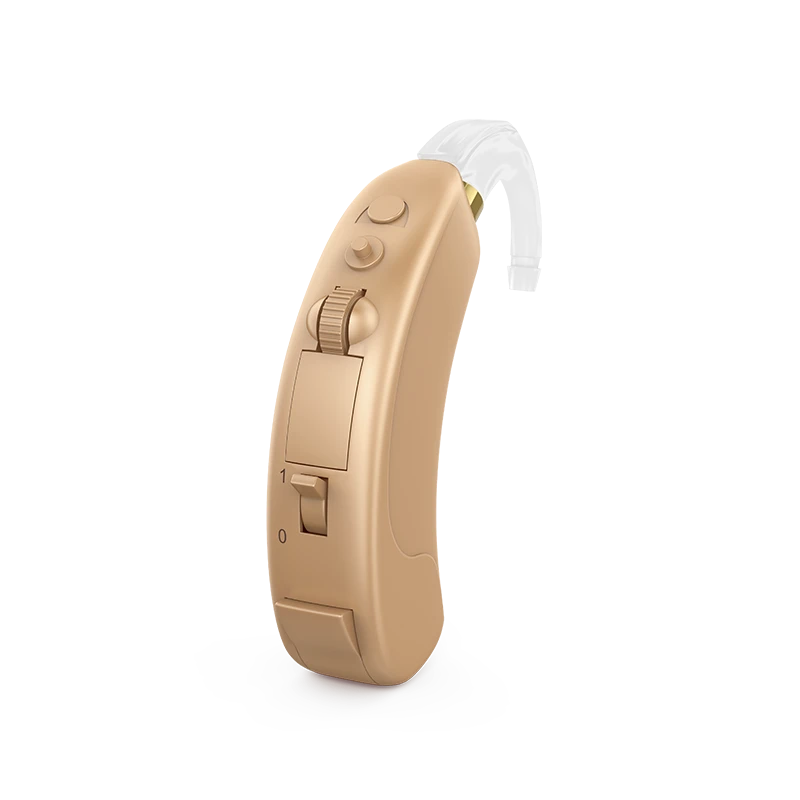 Digital Programmable Hearing Aid "KRUZ" for Air Conduction