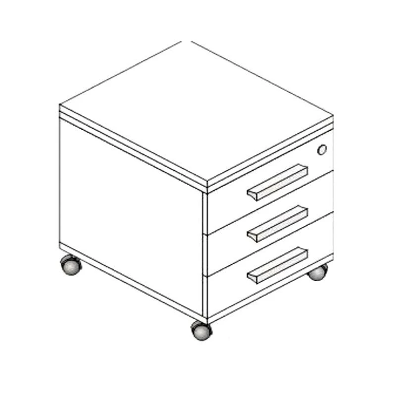 Compact Storage Cabinet for Documents and Tools