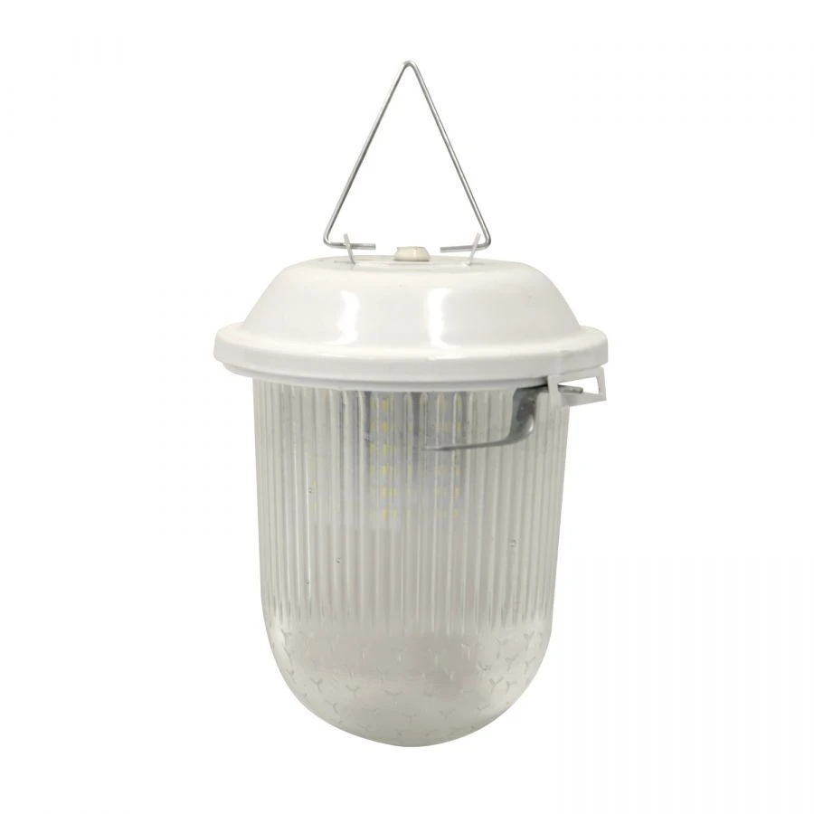 Pendant LED Light "Acorn A" SPEC LIGHT 03-012-101