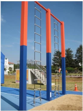 Storm Ladder Element PP