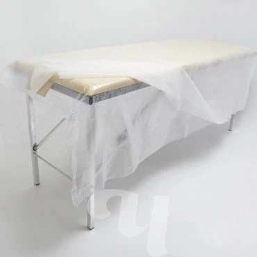 Transparent PE Sheet 25 Micron 200x230 cm 20 Sheets/Box, Art. 00-505