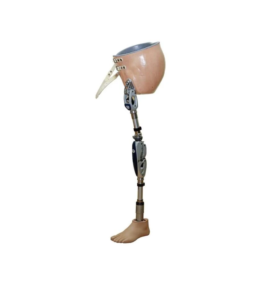 Modular Hip Disarticulation Prosthesis