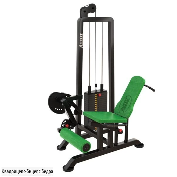 Dual Muscle Block Trainer for Biceps and Quadriceps
