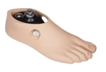 Hinged Single-Axis Prosthetic Foot 1H08A