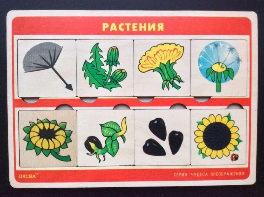 Wonders of Transformation Game (Plants)