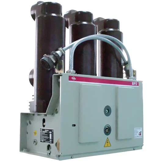 Vacuum Circuit Breaker 6(10) kV Series VR2