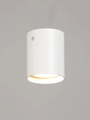 ضوء ثابت للاستخدام العام V4639-0/1PL