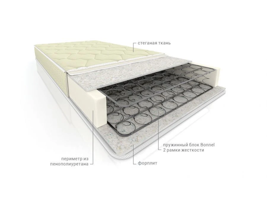 مرتبة اليت فورب بونيل-2