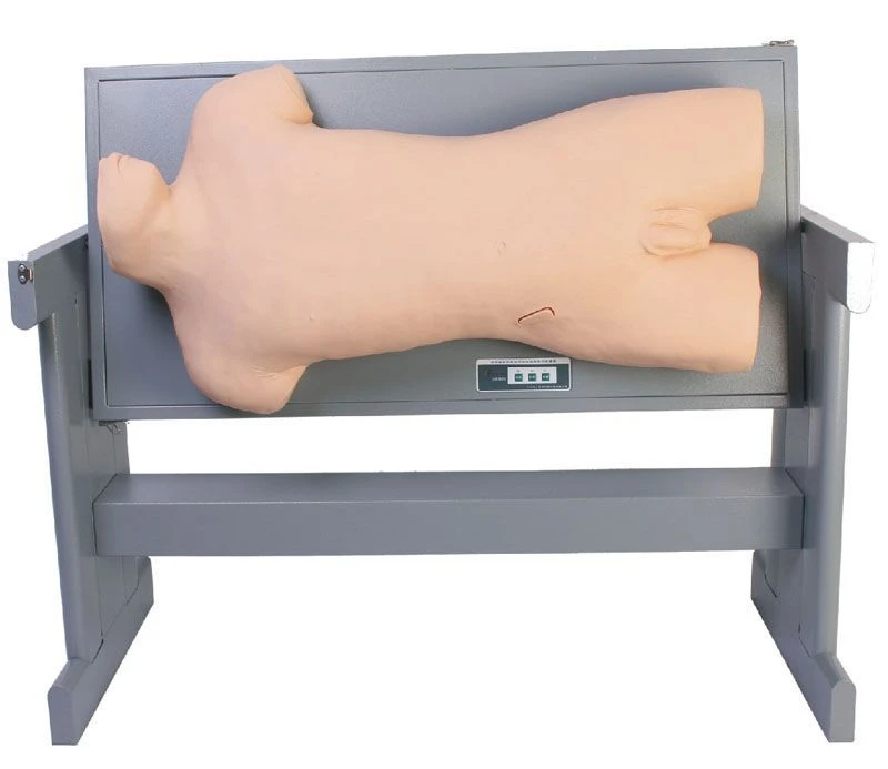 جهاز تدريب متكامل متقدم لمهارات الوخز CK810/CS6229