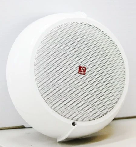 Voice Fire Alarm Notification Device ARG-R8-OR-PM