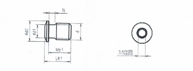 Titanium Alloy M7 Screw Plug 13mm