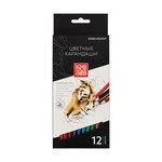 مجموعة أقلام تلوين فنية عالية الجودة IZO-CP12 بـ 12 لون